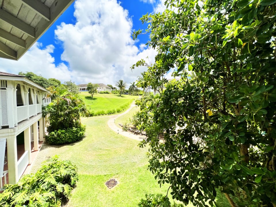 View from the patio